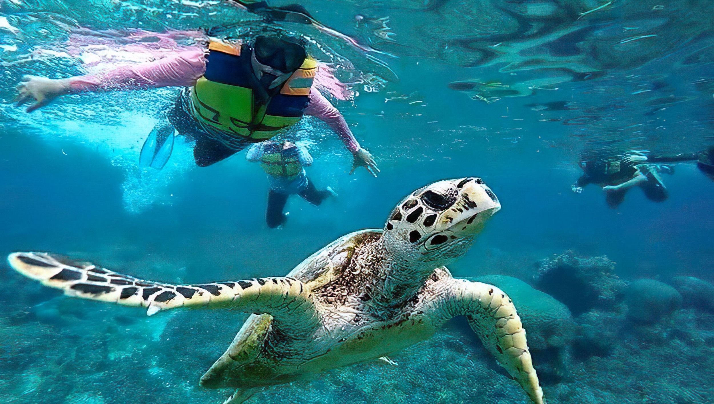 Gili Islands Schnorchelabenteuer