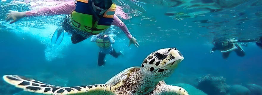 Aventure de plongée en apnée dans les îles Gili