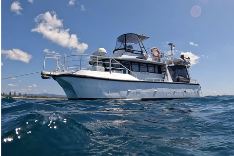 Snorkling med sköldpaddor på Cook Island Marine Rserve