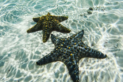 The Rock Restaurant, Jozani Forest, Salaam Cave Tour