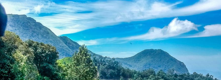 Cochin : Circuit privé de 6 jours avec Munnar, Thekkady et Alleppey