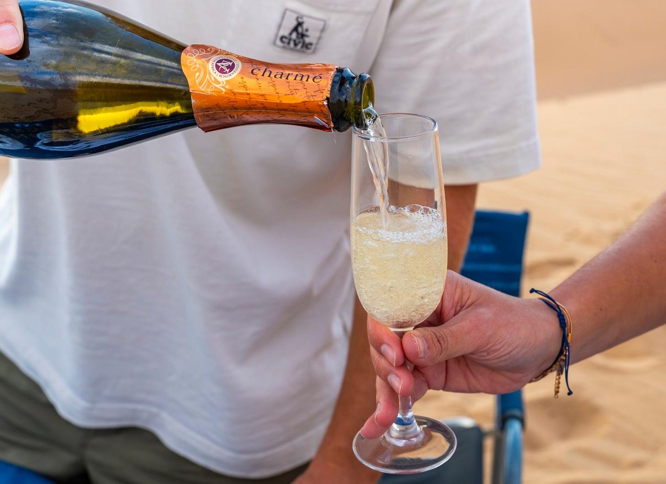 Walvis Bay: 4x4 ørkenudflugt til Sandwich Harbour Bay