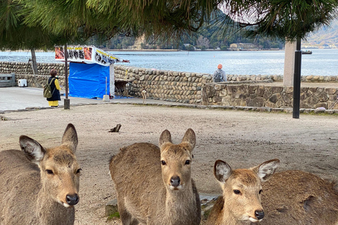 Private Hiroshima und Miyajima Tour mit lizenziertem Guide