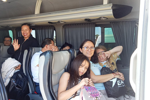 Los Cabos: Airport Private Transfer One Way