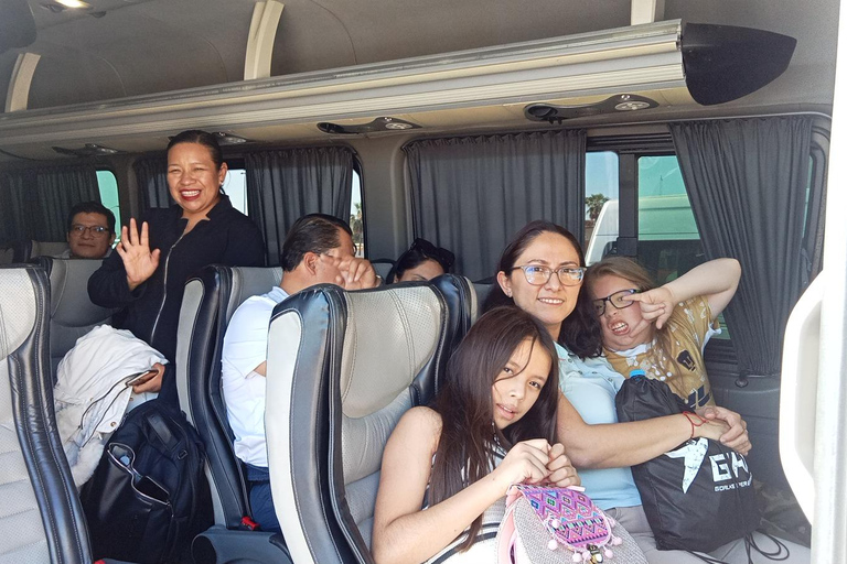 Los Cabos: Airport Private Transfer One Way