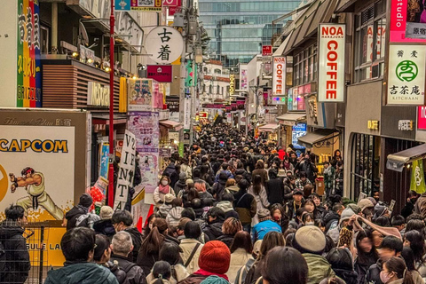 Tokyo Luxury Private City Tour Customizable with Guide