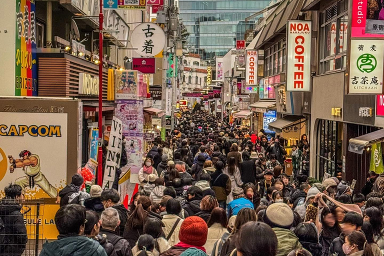 Tokyo Luxury Private City Tour Customizable with Guide
