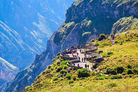 Da Arequipa: tour in autobus del Canyon del Colca e di Puno