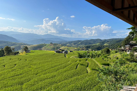 Terrazze di riso di Pa Pong Piang e Parco nazionale di Doi InthanonTerrazze di riso Pa Pong Piang e Parco Nazionale Doi Inthanon