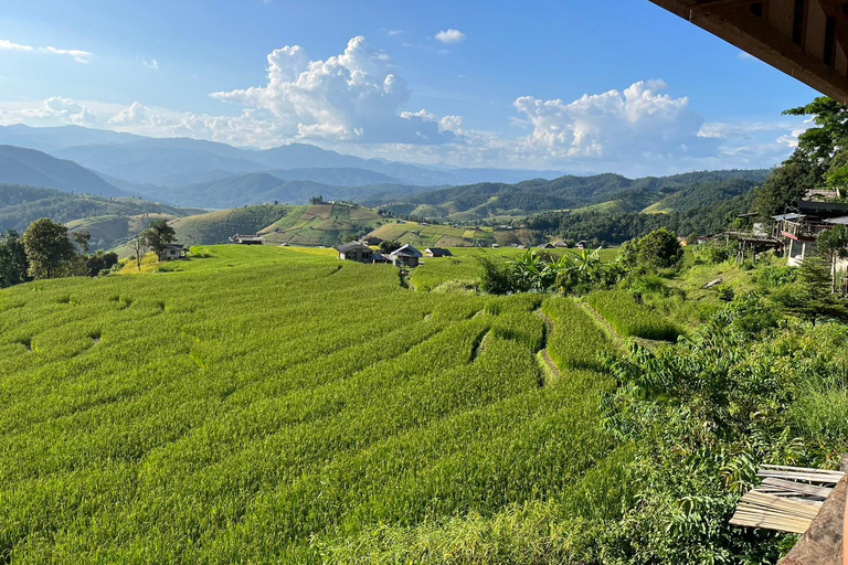 Terrazze di riso di Pa Pong Piang e Parco nazionale di Doi InthanonTerrazze di riso Pa Pong Piang e Parco Nazionale Doi Inthanon