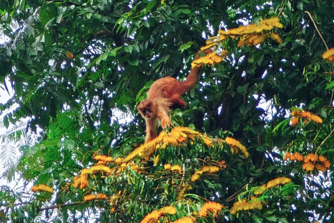 Amazon Wildlife Tour from Cusco–6 Days in the Reserved Zone.