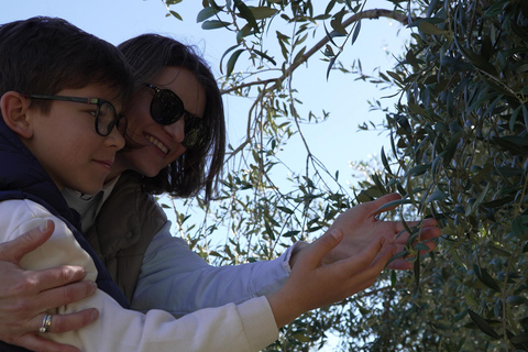 Toledo: Olive Oil Mill Tour & Tasting 4 EVOO Casas de Hualdo