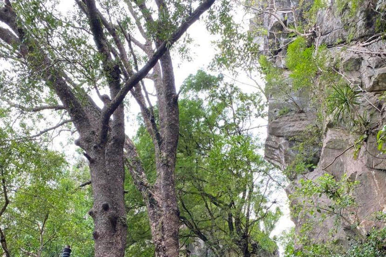 Traslado en coche privado a la Montaña de Mármol y la Pagoda Linh UngRecogida en los Hoteles de Hoi An (2 Vías)