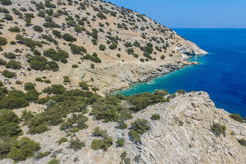 South Naxos Cruise with BBQ