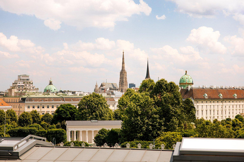 Tour privato di mezza giornata della città di Vienna, compreso il Castello di Schönbrunn