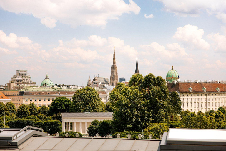 Tour privado de la ciudad de Viena incl. Palacio de Schönbrunn en monovolumen