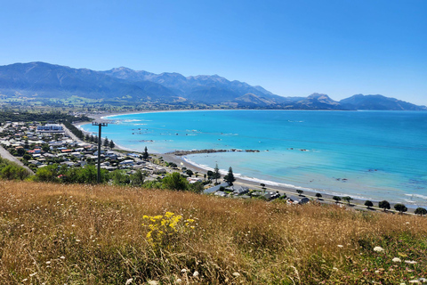From Christchurch: Kaikōura Day Tour