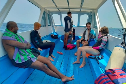 Eintägige Reise 3 Gili-Inseln inklusive SchnorchelnSchnorcheln von West- und Nord-Lombok aus