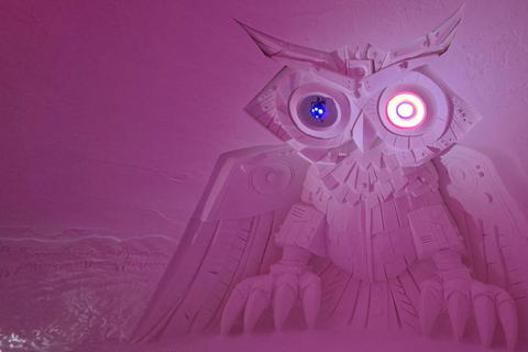 Levi: Private Snow Village tour. Northern lights possibility