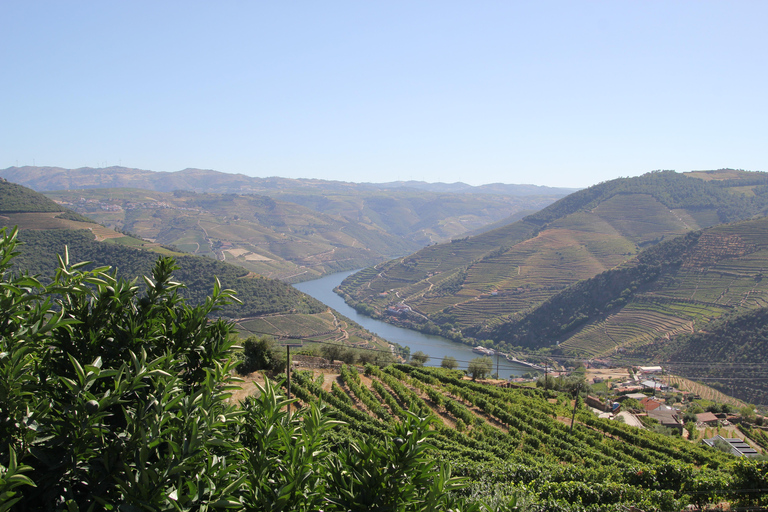 Porto: Douro Valley Half-Day Wine and Food Tour Tour with Hotel Pickup