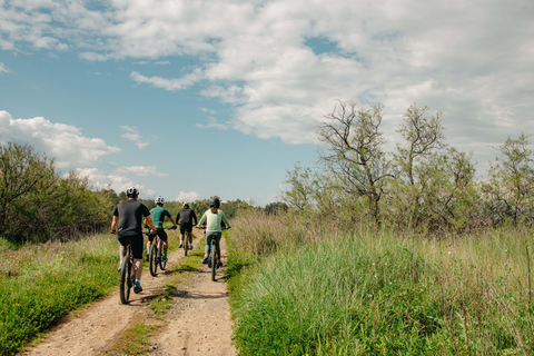 Korfu mit dem E-Bike entdecken: Radeln Sie durch die Natur und das lokale LebenEntdecke Korfu mit dem E-Bike: Tauch ein in die Natur und das lokale Leben