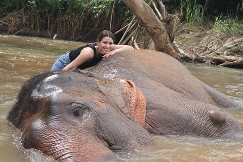 Chiang Mai: Doi Inthanon and Elephant Sanctuary TourHotel Pickup