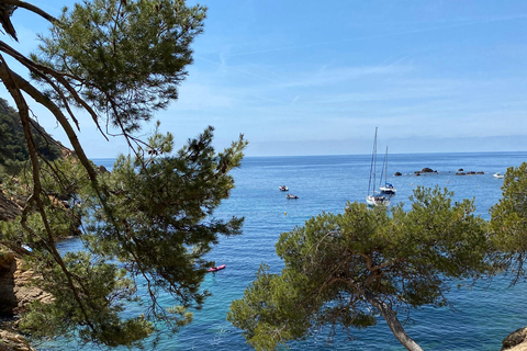 Journée complète à la Côte Bleue : Visite à pied de la nature et tour en bateau