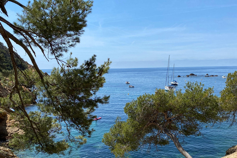 Día completo en Côte Bleue: Paseo panorámico por la naturaleza y tour en barco