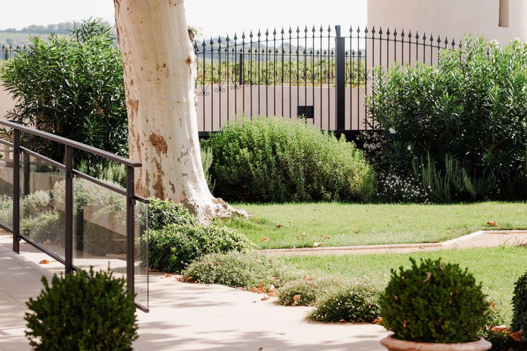 Châteauneuf-du-Pape: tour/tasting in the heart of Domaine Tour St Michel Châteauneuf-du-Pape: tour/tasting in the heart of the Domaine Tour St Michel