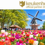 Amsterdam: ingresso al Keukenhof e bus navetta con ritorno flessibile