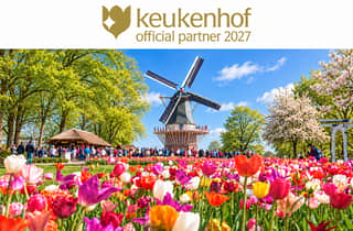 Amsterdam: Eintritt zum Keukenhof & Shuttlebus mit flexibler Rückfahrt