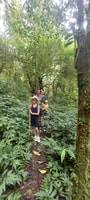 Munduk , Jungle Trekking,Canoeing & Balinese Cooking class - Housity