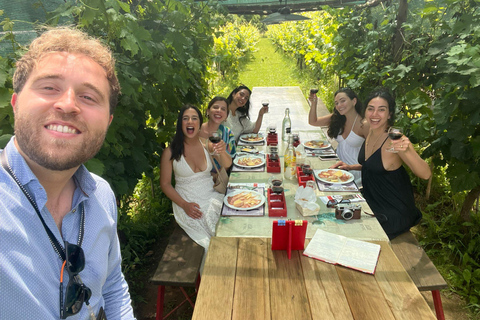 Tasting in a Vineyard with transfer from Pisa