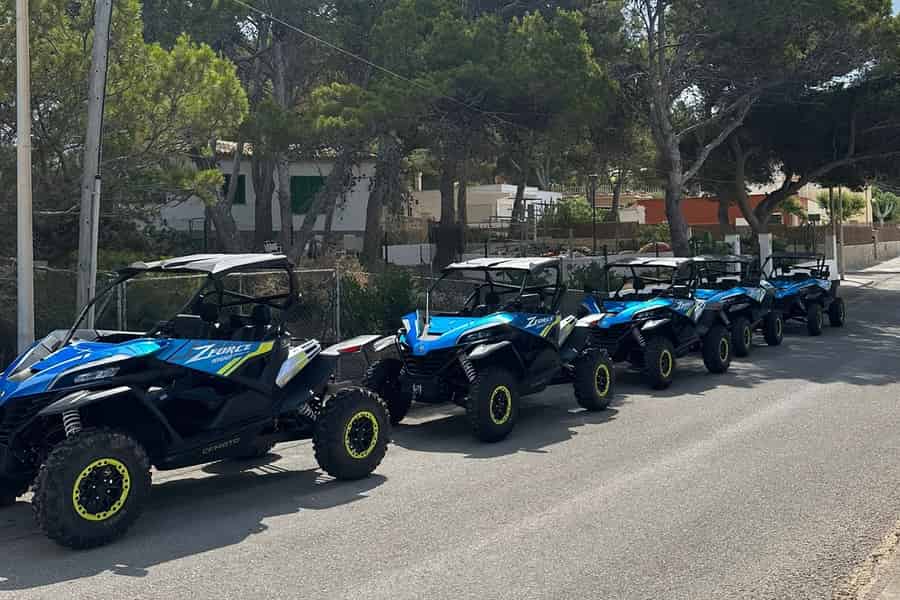 Paguera: 2-stündige Buggy-Tour. Foto: GetYourGuide Paguera: 2-stündige Buggy-Tour. Foto: GetYourGuide