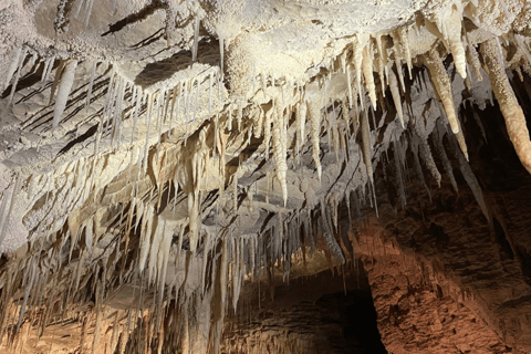 Private Day Tour: Waitomo Glowworms & Hobbiton Movie Set