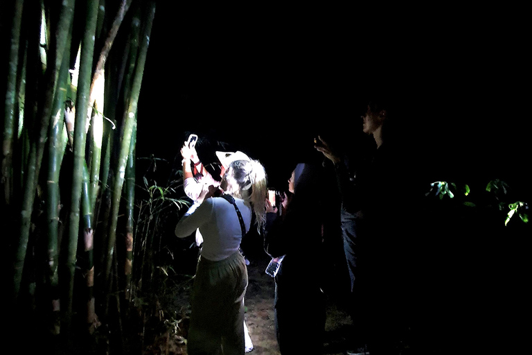 Khao Sok: Half-Day & Night Wildlife Trek and Jungle Dinner Option 6: Half-Day & Night Trek with Dinner From Khao Lak