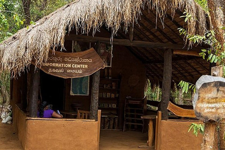 From Sigiriya to Ella Transfer with Vedda Village & More