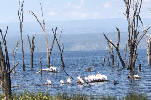 From Nairobi: Lake Nakuru National Park Day Trip Nakuru Day Trip Group Joining