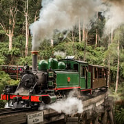 Puffing Billy Chocolate Winery Sky High Bush Walk Tour