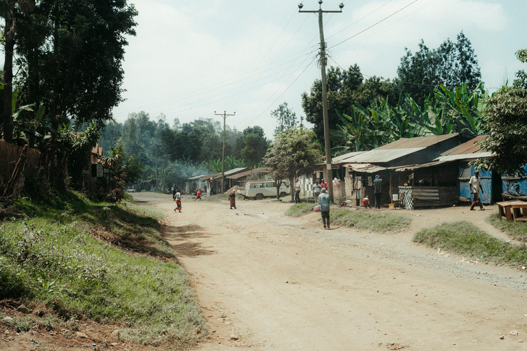 Arusha: Waterfall, Mountain Swing, Canoeing & Village Tour