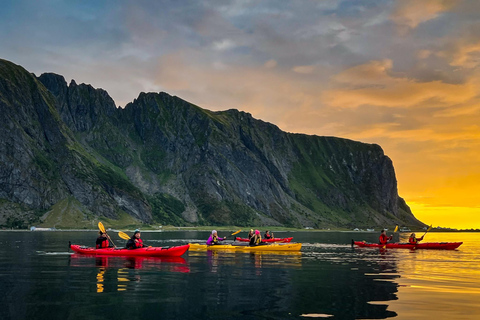 إيجوم: جولة جزر لوفوتن منتصف الليل صن كاياك