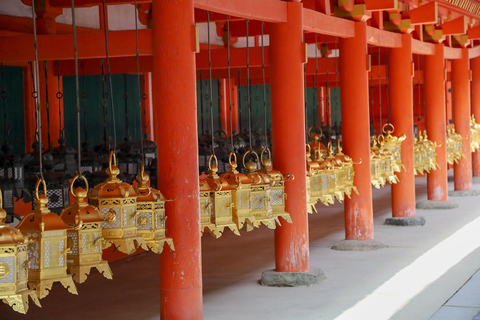 Kyoto: Tour storico di Nara e Kyoto in autobusTour con pranzo