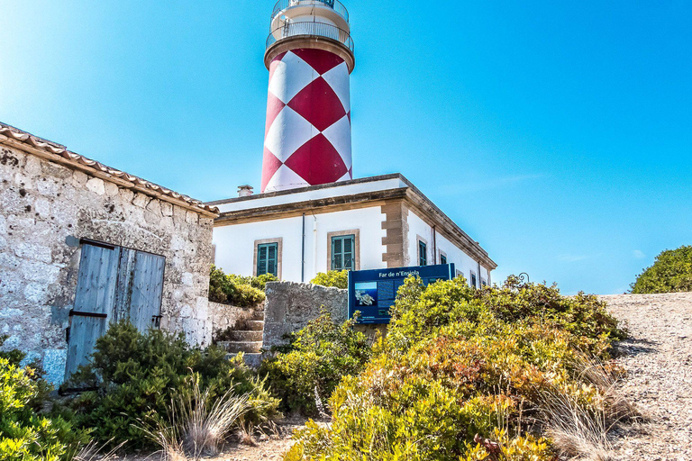 Colonia Sant Jordi: Sunset Boat Tour to Cabrera Island