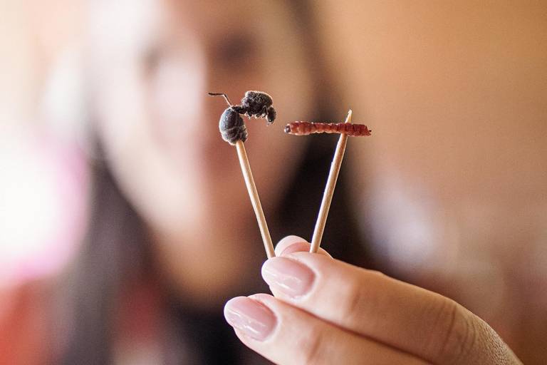 Clase de cocina tradicional oaxaqueña