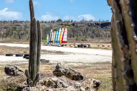 Blokart Landsailing aan de kust van Caribisch Bonaire