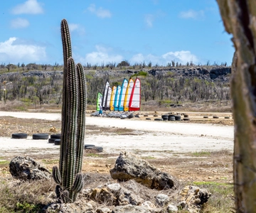 Blokart Landsailing on the shores of the Caribbean Bonaire