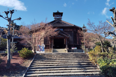 Aichi: Meiji Village & Japan’s Modernization Journey 5h Immersive option