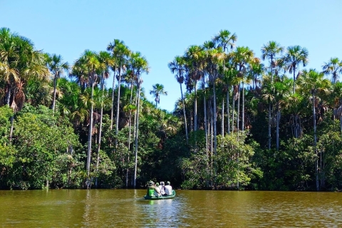 Tambopata : Visite de l'île aux singes et du lac Sandoval 3 joursTour de l'île des singes et du lac Sandoval - 3 jours