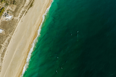 Excursão guiada pela vida marinha em EsteponaVida marinha guiada 4h