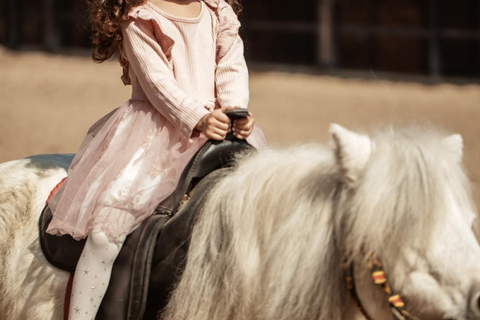 巴库骑马体验：邂逅世界名驹标准套餐